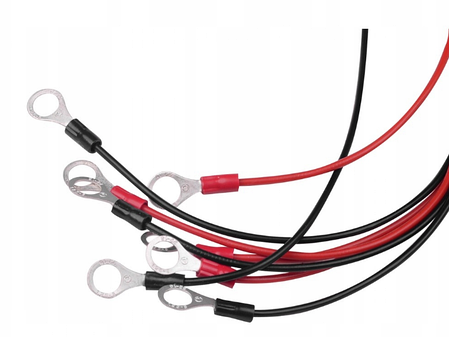 Балансир для акумуляторів Volt Polska AKU PROTECT 48V (6AEQ48V001), фото 2