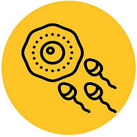 ДЛЯ ШТУЧНОГО ОСІМЕНІННЯ