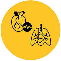 ЛІКУВАННЯ ССС І ДИХАЛЬНОЇ СИСТЕМИ