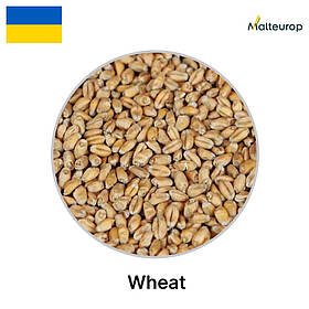 Солод Wheat (пшеничний), 1 кг