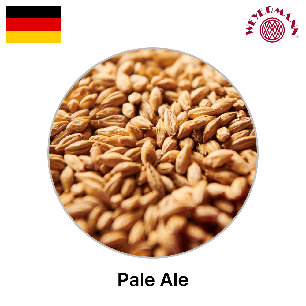 Солод світлий Пейл Ель (Рale Аle), EBC 5,5-7,5, 1кг