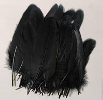 Пір'я гуся натуральні Колір Чорний 8-15см