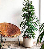 Бетонний вазон серія "Джела" (Д44-58 см) для квітів та дерев, для вулиці, саду, дачі та тераси, фото 4