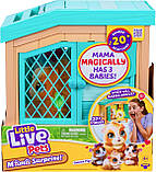 Little live pets mama surprise guinea pig м'яка інтерактивна морська свинка с дитинчатами., фото 2