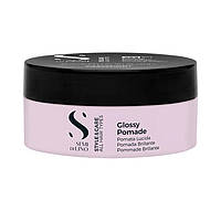 Помада для волосся сильної фіксації Alfaparf Style & Care Glossy Pomade, 100 мл