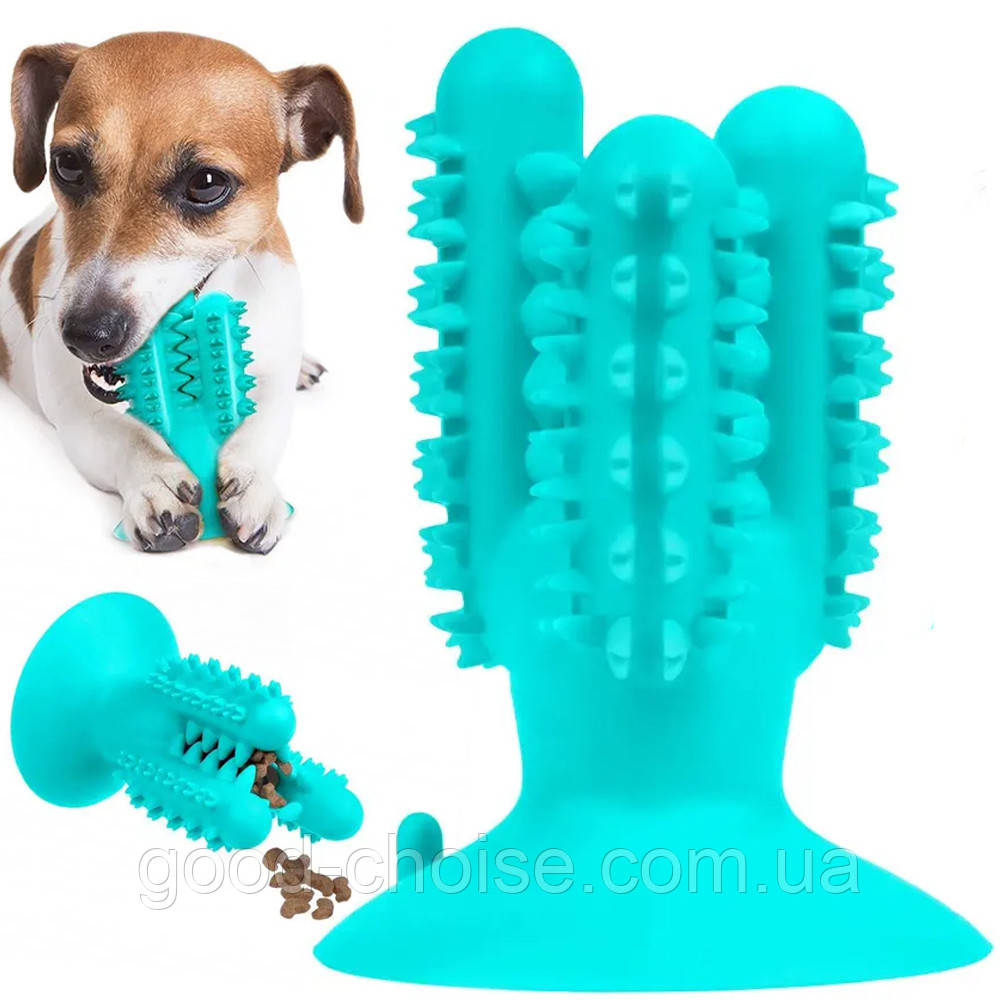 Іграшка для собак Кактус на присосці PetFun Denta / Жувальна іграшка для чищення зубів собак
