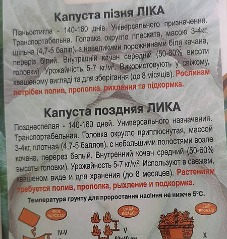Капуста пізня Ліка 1г, фото 3