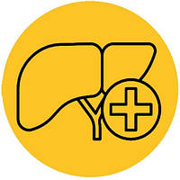 ГЕПАТОПРОТЕКТОРИ