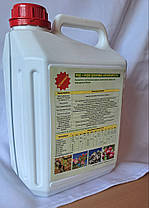 Рідкі Комплексні Добрива «Флорарост» РКД, фото 4