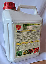Рідкі Комплексні Добрива «Флорарост» РКД, фото 2