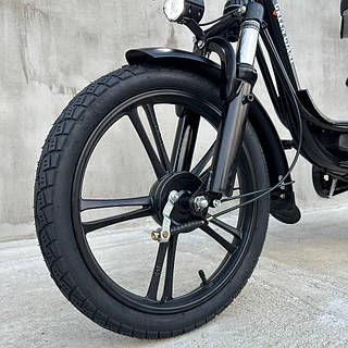 Вантажний електровелосипед GREEN GIANT U18 ECO (600 W 48 V 18 Аh