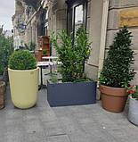 Вазон вуличний бетонний "Борміо" кашпо горщик для квітів та дерев, для вулиці, саду, дачі та тераси, фото 10