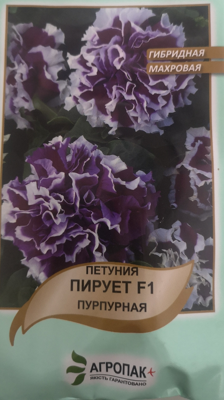 Петунія гібридна махрова Пірует F1, пурпурна 10шт