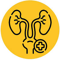 ЛІКУВАННЯ НИРОК, СЕЧОСТАТЕВОЇ СИСТЕМИ