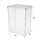 Ящик для пожертвувань EKOSTAR 210х150х300 ПЕТ 1.5 мм, фото 3