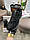 Чоловічі кросівки замша текстиль New Balance 1906R New Black Grey, кеди Нью Беланс чорні. Чоловіче взуття, фото 9