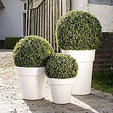 Вазон вуличний бетонний "Борміо" кашпо горщик для квітів та дерев, для вулиці, саду, дачі та тераси, фото 3