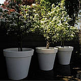 Вазон вуличний бетонний "Борміо" кашпо горщик для квітів та дерев, для вулиці, саду, дачі та тераси, фото 7