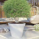 Кашпо для вулиці "Борміо" вазон бетонний горщик для квітів та дерев, для вулиці, саду, дачі та тераси, фото 9