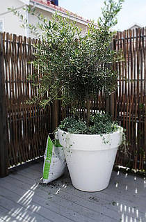 Кашпо для вулиці "Борміо" вазон бетонний горщик для квітів та дерев, для вулиці, саду, дачі та тераси