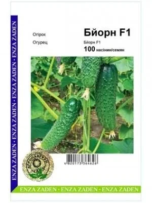 Огірок Бйорн F1 - 10 насінин (Агропакгруп)