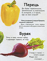 Що це Овочі фрукти та ягоди Пегас, фото 5