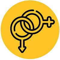 ВПЛИВАЮТЬ НА ВІДТВОРЮВАЛЬНУ ФУНКЦІЮ