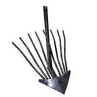 Лапа-крапка