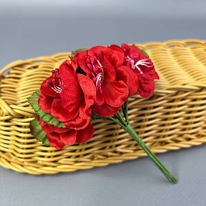 Азалія, букет 6 квіток - червоний