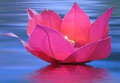 Плавальні ліхтарики ЛИЛІЯ, діаметр 30 см, 10 штук