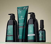 Bogenia Набір для волосся з розмарином та м'ятою Rosemary Peppermint (шампунь, кондиціонер, сироватка, маска)