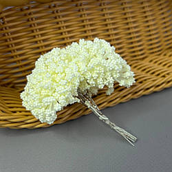 Квітка гіпсофіли з пінопласту 8 см - лимонний світлий