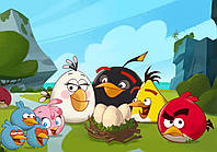 Вафельна картинка Angry Birds/Злі пташки 7