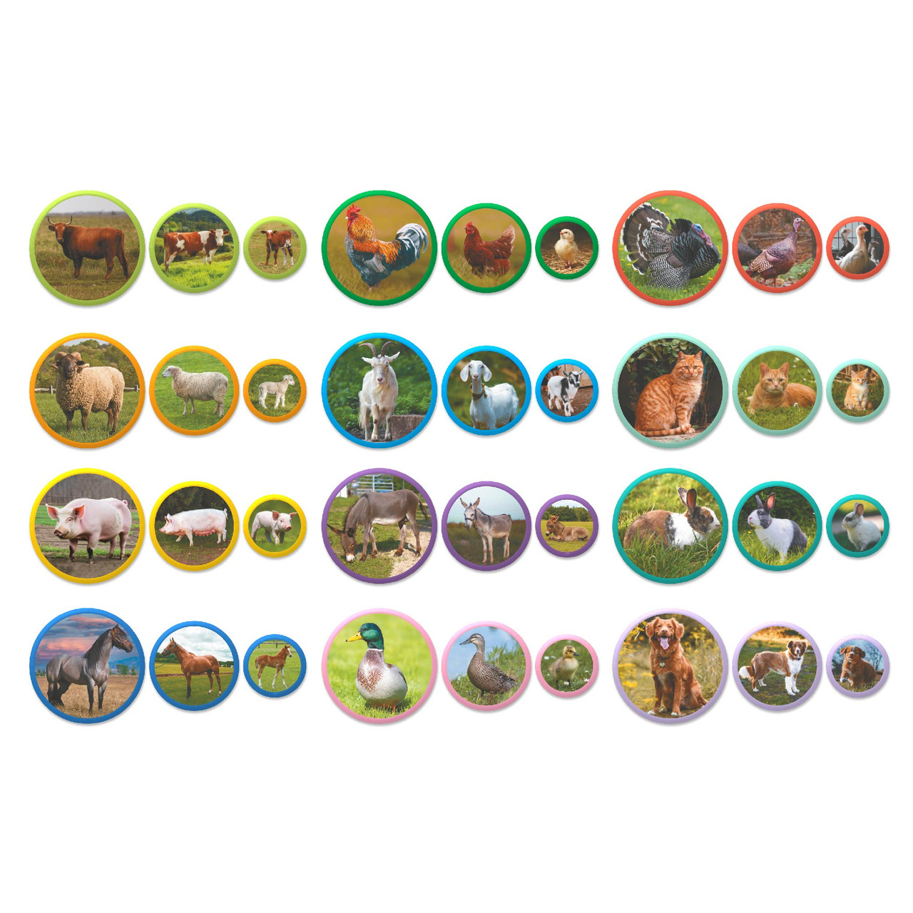 Product image preview