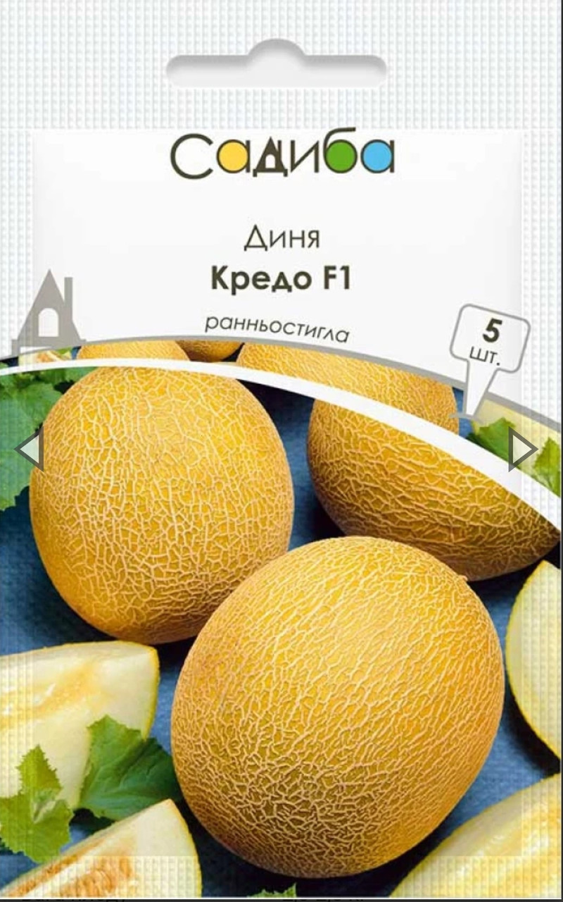 Насіння Clause диня Кредо F1 раннє 5 сем., фото 1
