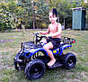 Електроквадроцикл Viper Crosser Помаранчевий eatv 90505 1000W/36V 3 передачі вперед 1 назад, фото 2