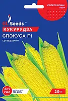 Кукурудза Спокуса F1 гібрид ранньостиглий суперсолодкий не поступається закордонним аналогам, упаковка 20 г