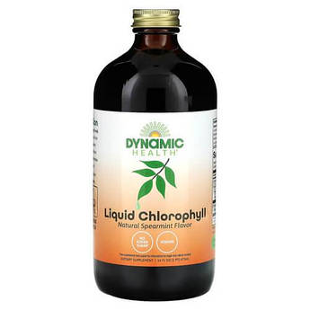 Dynamic Health Liquid Chlorophyll 100 mg 473 ml