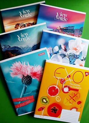 Канц Зошит учня (Yes, Star, 1В) 96арк. # клітка, фото 1