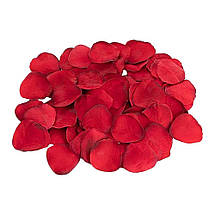 Набір для анального тренування Dream Toys Amour The Passion Of Love з намистинами та аксесуарами, фото 5