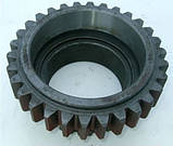 Шестерня 151Б.37.781-1 вторинного валу механічної коробки передач Т-151,Т-156,Т-157,Т-150-05-09-25, фото 2