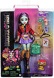 Кукла Monster High Джинафаер Лонг G3, фото 7