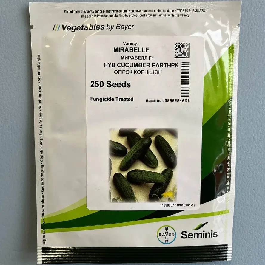Мірабелл F1 насіння огірка SEMINIS 250 насінин, фото 1