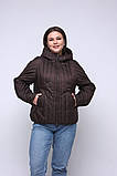 Жіноча стильна куртка кольору шоколад М-1103, фото 2