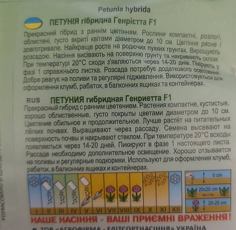 Петунія Генрієтта F1 10нас, фото 3