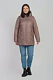 Стильна жіноча демісезонна бежева куртка Li-21, розміри 54-70, фото 4