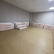 Ліжко 3-х ярусне для дошкільних навчальних закладів DS-21, фото 4