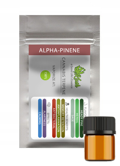 🌲 Натуральні конопляні терпени Alpha-Pinene (1 мл) – свіжість соснового лісу 🍃✨