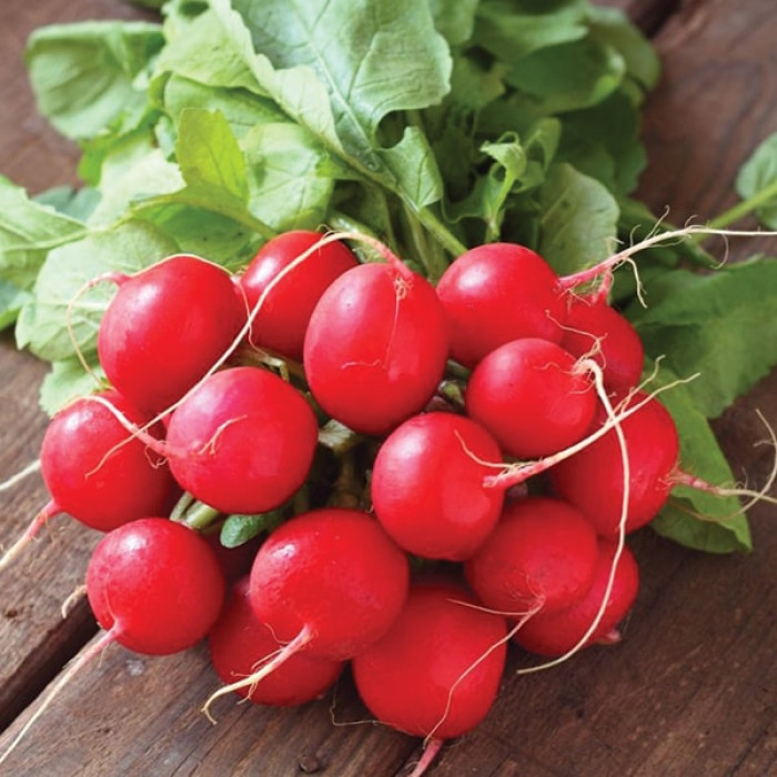 Насіння редиски Сора (250 г) Leda, фото 1