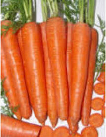 Насіння моркви Брилианс F1 100000 насіння (1.6-1.8)